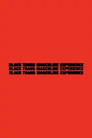 Black Trans Masculine Experience