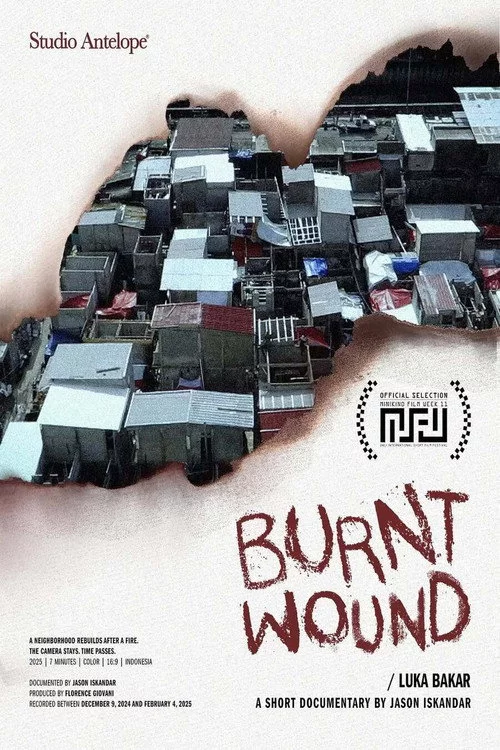 Luka Bakar