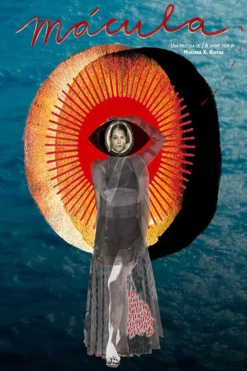 Mácula