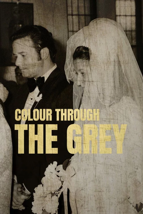 Colour Through the Grey