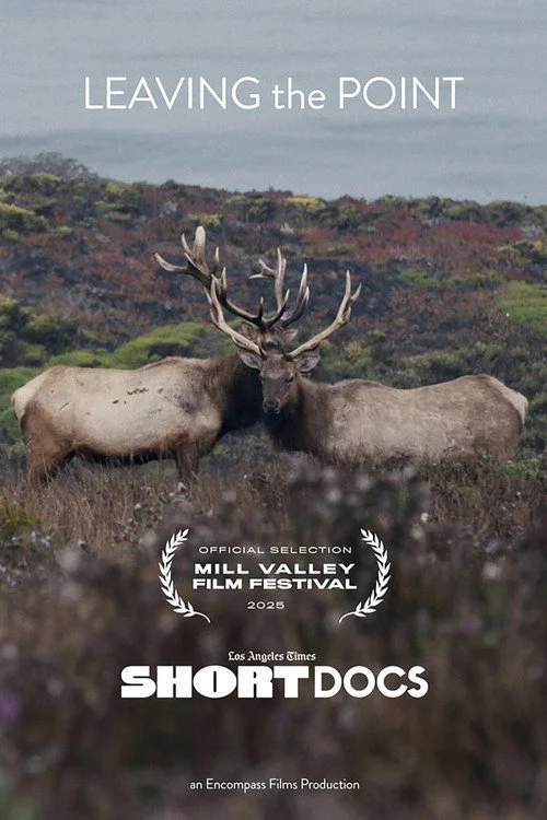 Leaving the Point
