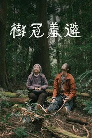 樹冠羞避
