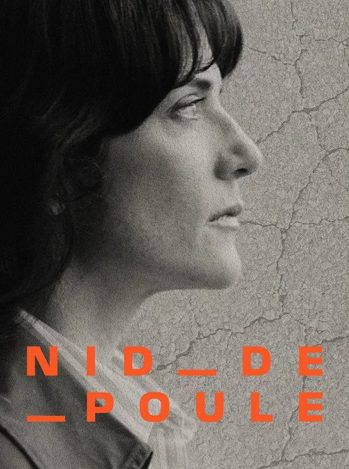 Nid-de-poule - Nos routes, un danger public?