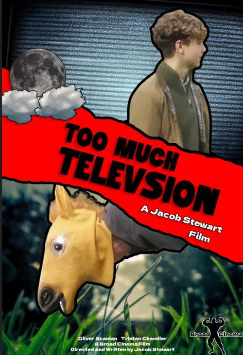 Too Much Television