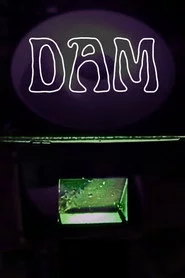 Dam