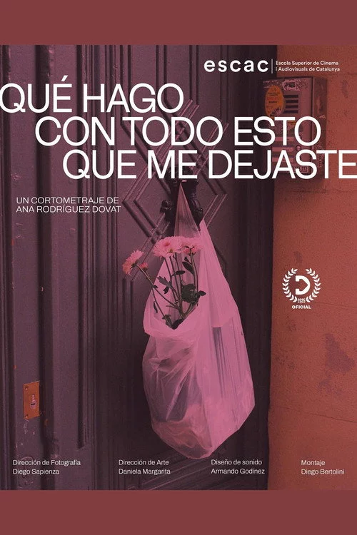 Qué hago con todo esto que me dejaste
