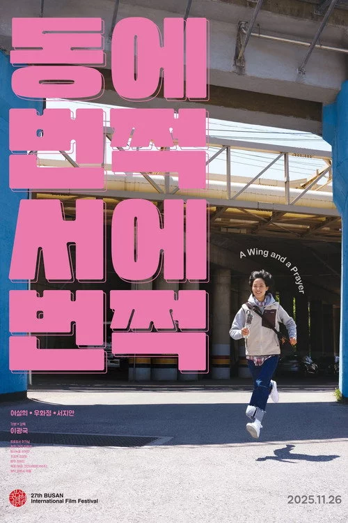 동에 번쩍 서에 번쩍