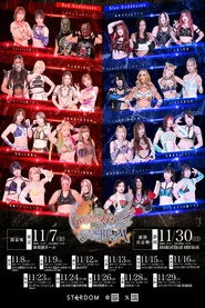 第15回 ゴッデス・オブ・スターダム ～タッグリーグ戦～ in KANDAMYOUJIN