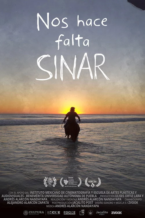 Nos hace falta Sinar