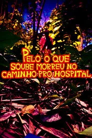 PELO O QUE SOUBE MORREU NO CAMINHO PRO HOSPITAL