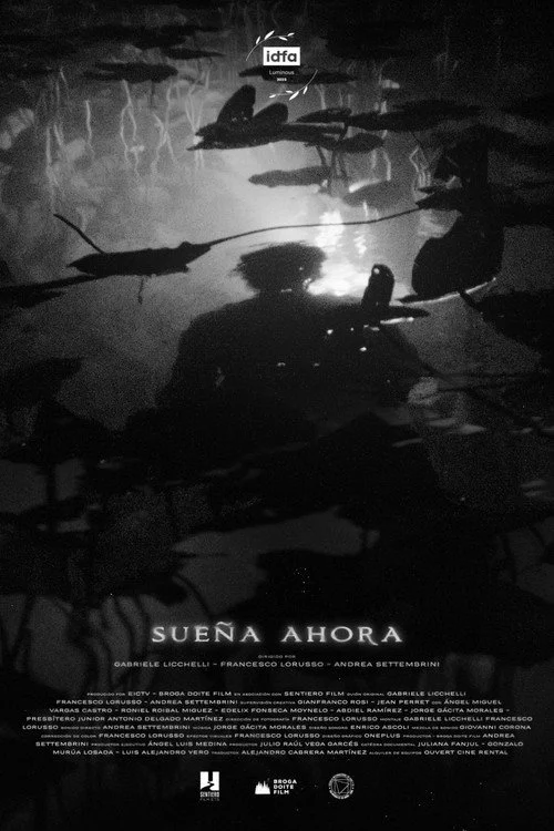 Sueña ahora