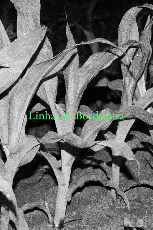 Linhas de Bordadura