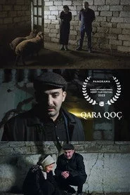 Qara Qoç