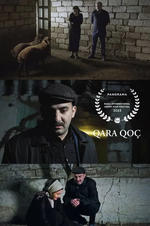 Qara Qoç