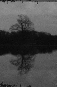 Landscape as Landscape 9