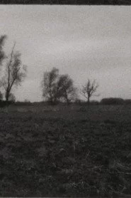 Landscape as Landscape 10