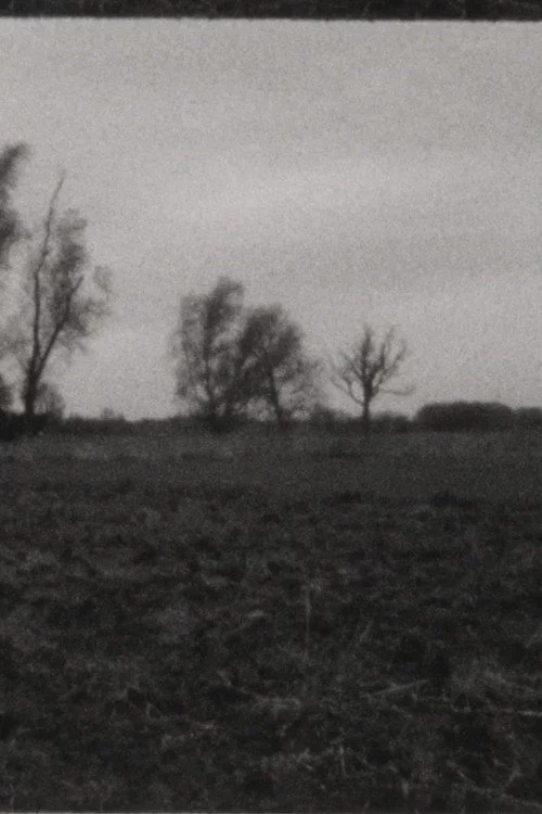 Landscape as Landscape 10