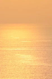 Ce qu’il reste des vagues
