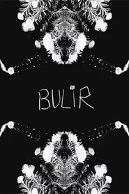 BULIR