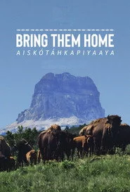 Aiskótáhkapiyaaya