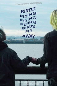 Birds Flying Flying Flying Birds Fly Away