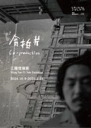 合拍片