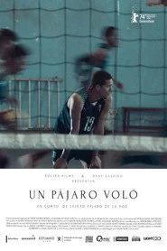 Un pájaro voló