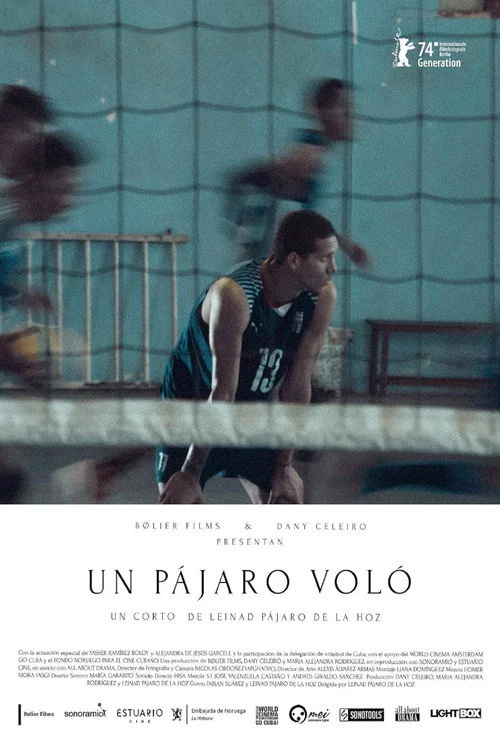 Un pájaro voló