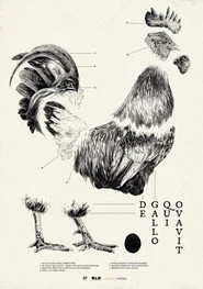 De Gallo Qui Ovavit