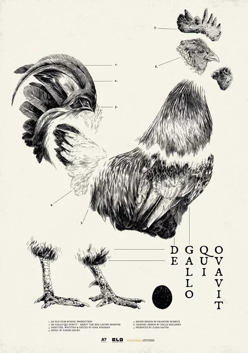 De Gallo Qui Ovavit