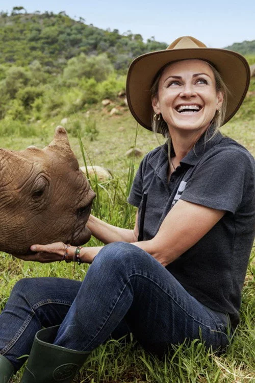 Wild Life - Rhinos