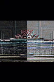 Cylinder Seal
