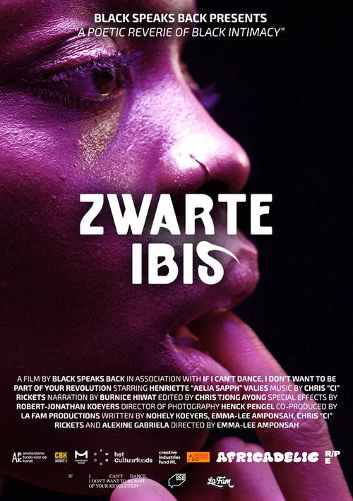 Zwarte Ibis