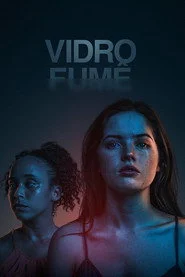 Vidro Fumê