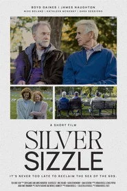SilverSizzle
