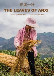 The Leaves of Anxi