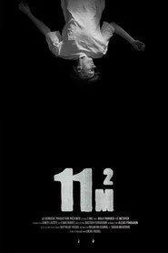 11m2