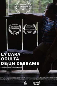 La cara oculta de un derrame