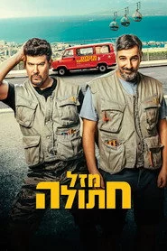 מזל חתולה