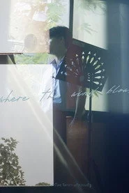 where the wind blows