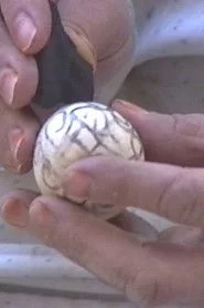 فرنگ