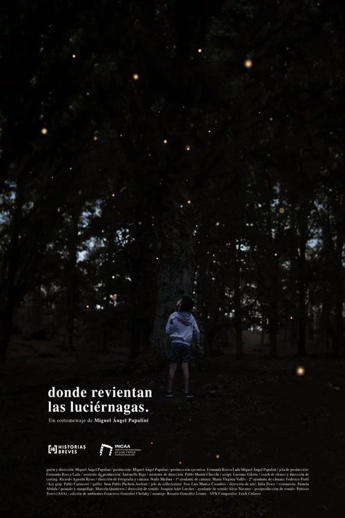 Donde revientan las luciérnagas