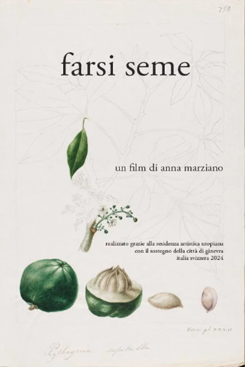 Farsi seme