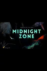 Into the Midnight Zone
