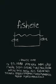 fisheye