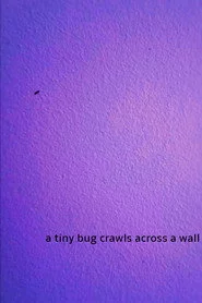 a tiny bug crawls across a wall
