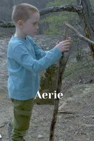 Aerie