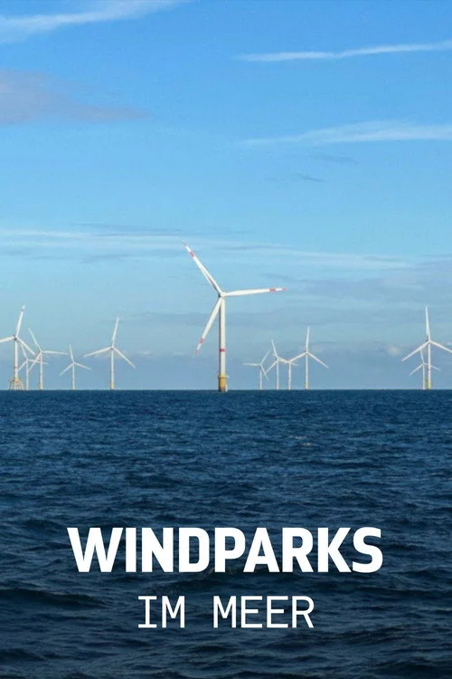 Windparks im Meer - Chance oder Risiko für die Natur?