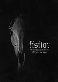 Fisitor