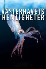 Västerhavets Hemligheter
